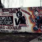 Fotka nr 3 z 6