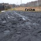 Fotka nr 2 z 3