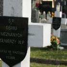 Fotka nr 4 z 12