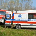 Fotka nr 5 z 6