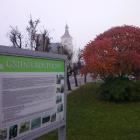 zdjęcie nr 31