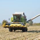 zdjęcie nr 19