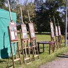 Fotka nr 4 z 12