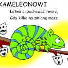 zdjęcie nr 13