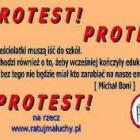 Fotka nr 1 z 3