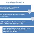 zdjęcie nr 2