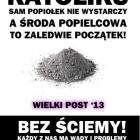 Fotka nr 1 z 2