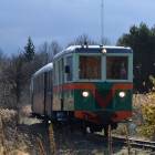 zdjęcie nr 8