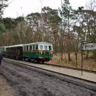 zdjęcie nr 41