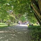 zdjęcie nr 59
