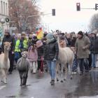 zdjęcie nr 37
