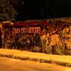 Fotka nr 4 z 10