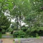 Fotka nr 1 z 2