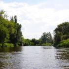 zdjęcie nr 13