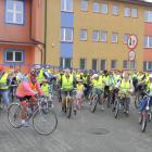 zdjęcie nr 10