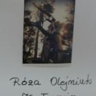 zdjęcie nr 10