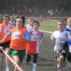 zdjęcie nr 22