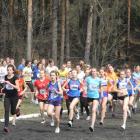 zdjęcie nr 29