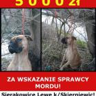 Fotka nr 0 z 2