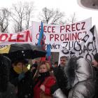 zdjęcie nr 2