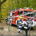 Fotka nr 2 z 6