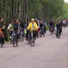 Fotka nr 4 z 11