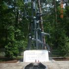 Fotka nr 5 z 8