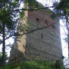 zdjęcie nr 7