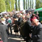 zdjęcie nr 7