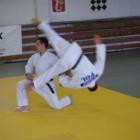 Fotka nr 2 z 4