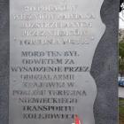 zdjęcie nr 11
