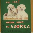 Fotka nr 0 z 4