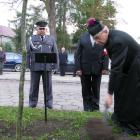 zdjęcie nr 71