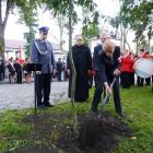 zdjęcie nr 7