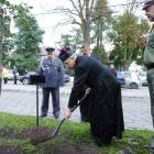 zdjęcie nr 9