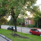zdjęcie nr 8