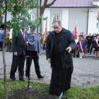 zdjęcie nr 23