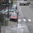 Fotka nr 4 z 5