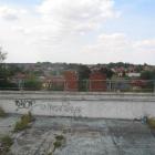 zdjęcie nr 8