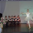 Fotka nr 5 z 8