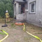 Fotka nr 5 z 12