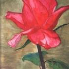 Fotka nr 1 z 8