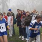zdjęcie nr 10