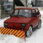 Fotka nr 3 z 4