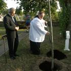 zdjęcie nr 9