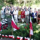 zdjęcie nr 29