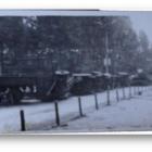 Fotka nr 5 z 16