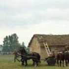 zdjęcie nr 31