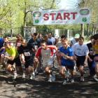 Fotka nr 0 z 7