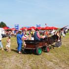 Fotka nr 3 z 16